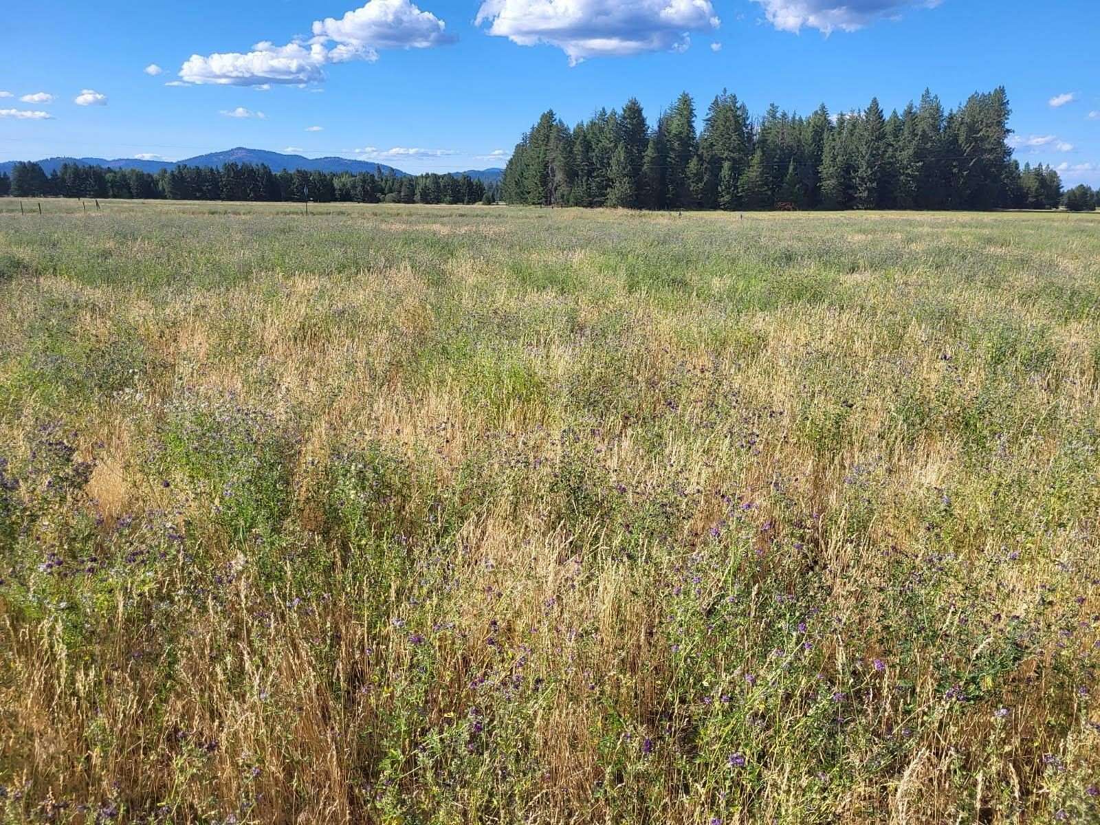 9.86 Acres of Residential Land for Sale in Deer Park, Washington