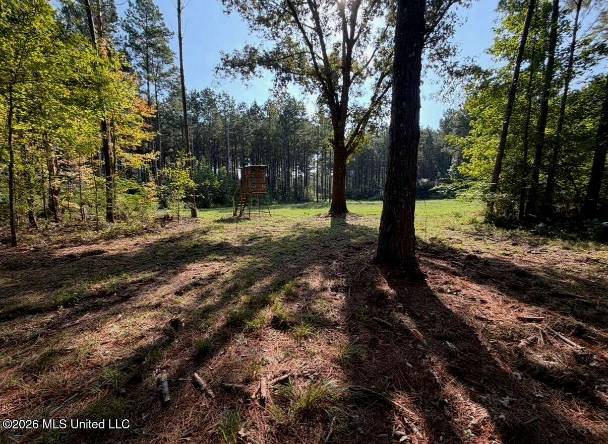 76 Acres of Land for Sale in Raleigh, Mississippi