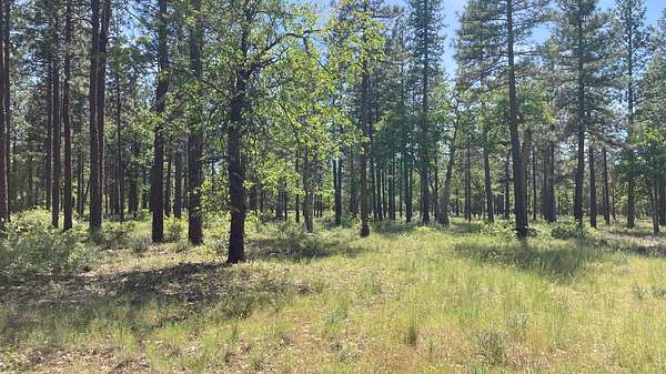 5 Acres of Land for Sale in McArthur, California