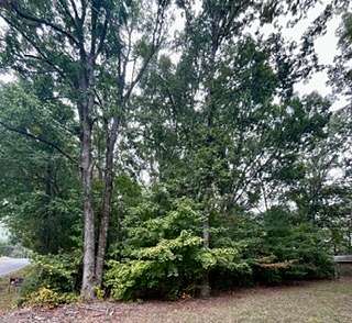 0.44 Acres of Residential Land for Sale in Dickson, Tennessee