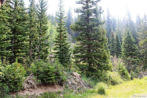 0.41 Acres of Residential Land for Sale in Idaho Springs, Colorado