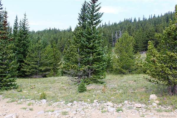 5.16 Acres of Land for Sale in Idaho Springs, Colorado