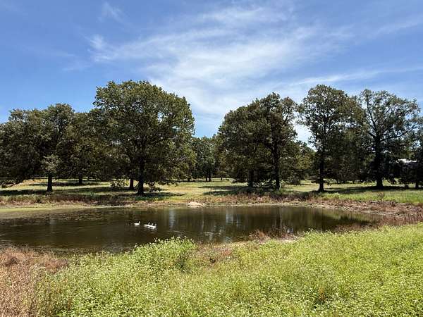6.79 Acres of Land for Sale in Mineola, Texas