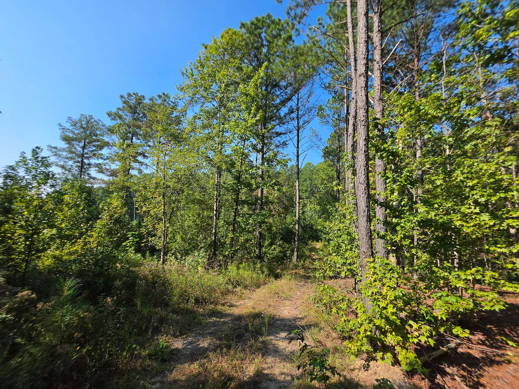 9.48 Acres of Land for Sale in Camden, Tennessee