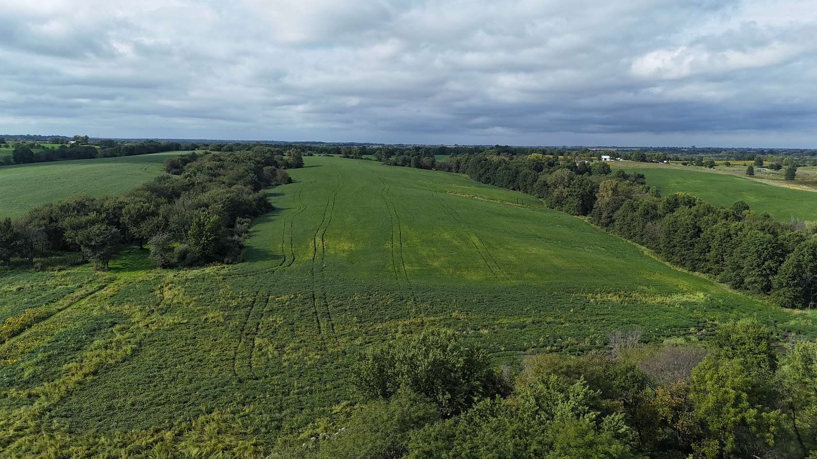 153 Acres of Land for Sale in Russell, Iowa