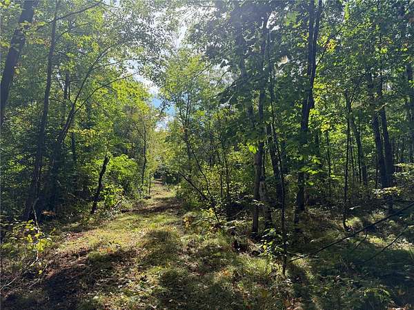 10 Acres of Land for Sale in Bruno, Minnesota