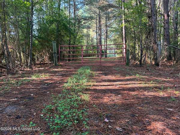 52 Acres of Land for Sale in Raleigh, Mississippi