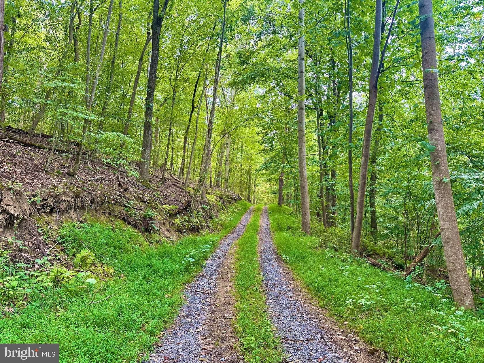 52.9 Acres of Recreational Land for Sale in Boyce, Virginia