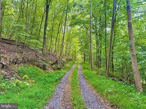 52.9 Acres of Recreational Land for Sale in Boyce, Virginia