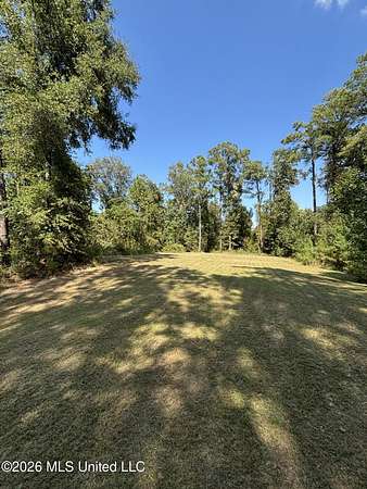 61.1 Acres of Recreational Land for Sale in Bentonia, Mississippi