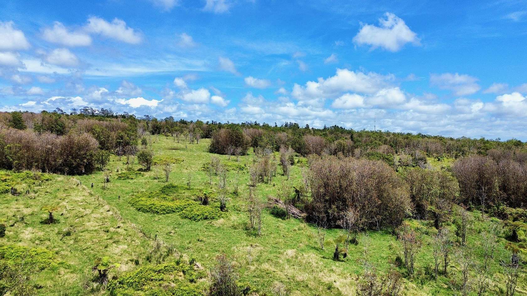 10 Acres of Agricultural Land for Sale in Mountain View, Hawaii