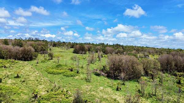 10 Acres of Agricultural Land for Sale in Mountain View, Hawaii