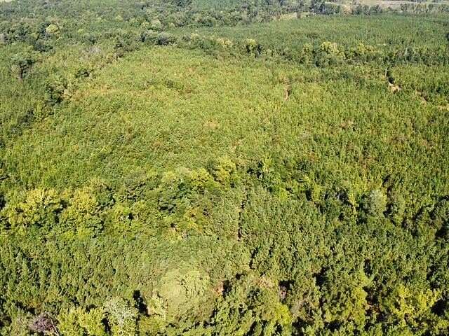 48 Acres of Recreational & Residential Land for Sale in San Augustine, Texas