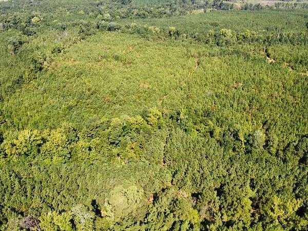 48 Acres of Recreational & Residential Land for Sale in San Augustine, Texas