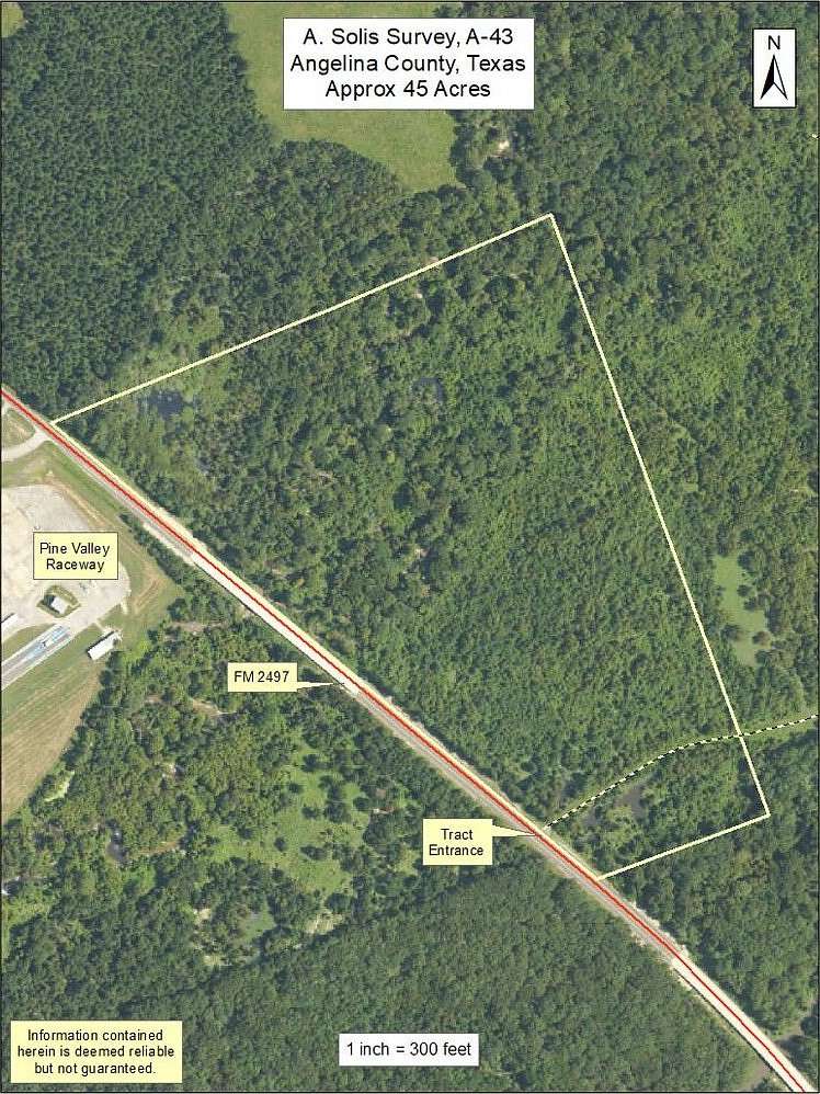 45.3 Acres of Recreational Land for Sale in Burke, Texas