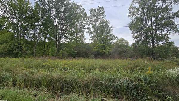 3 Acres of Improved Residential Land for Sale in St. Clair, Michigan
