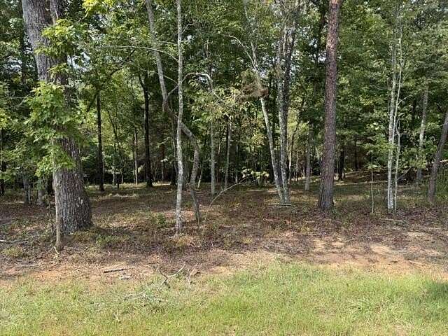 1.14 Acres of Residential Land for Sale in Mineral Bluff, Georgia