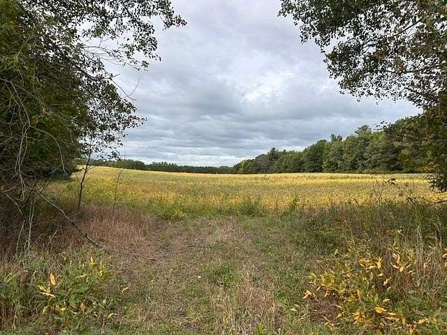 20 Acres of Land for Sale in Braham, Minnesota