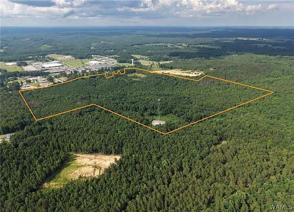 108 Acres of Land for Sale in Hamilton, Alabama
