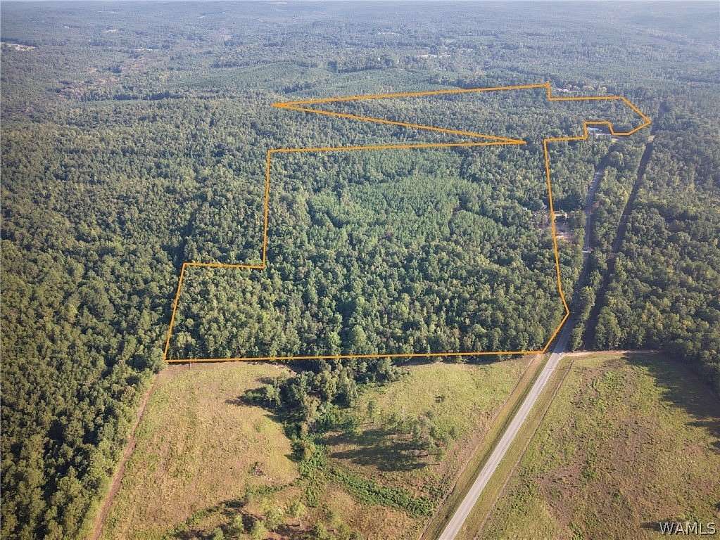 110 Acres of Land for Sale in Vernon, Alabama