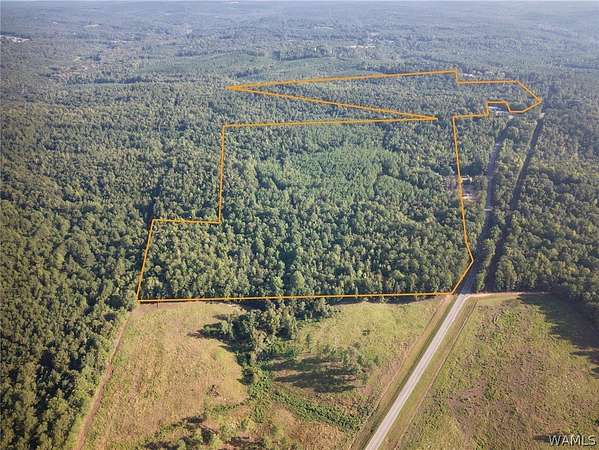 110 Acres of Land for Sale in Vernon, Alabama