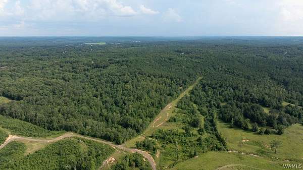 112 Acres of Land for Sale in Fayette, Alabama