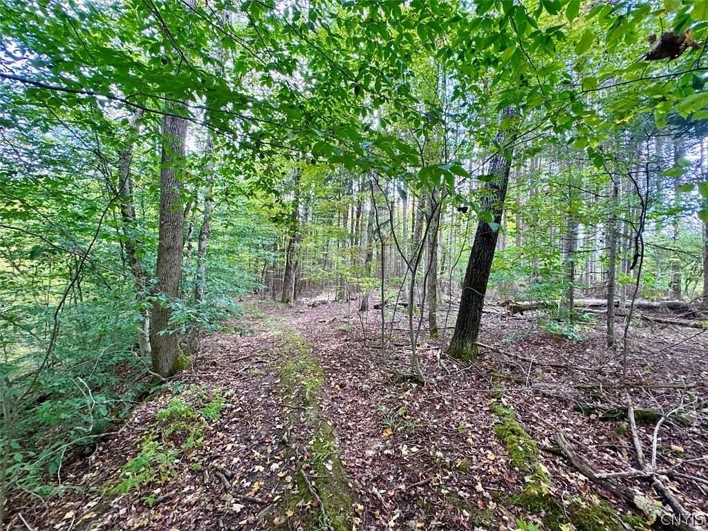 46.1 Acres of Recreational & Residential Land for Sale in Angelica, New York