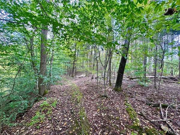 46.1 Acres of Recreational & Residential Land for Sale in Angelica, New York