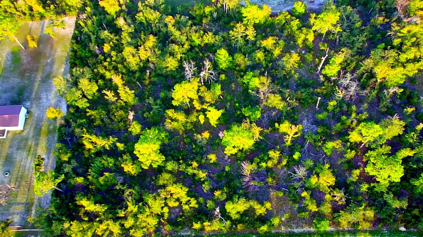 1 Acre of Land for Sale in Perry, Florida