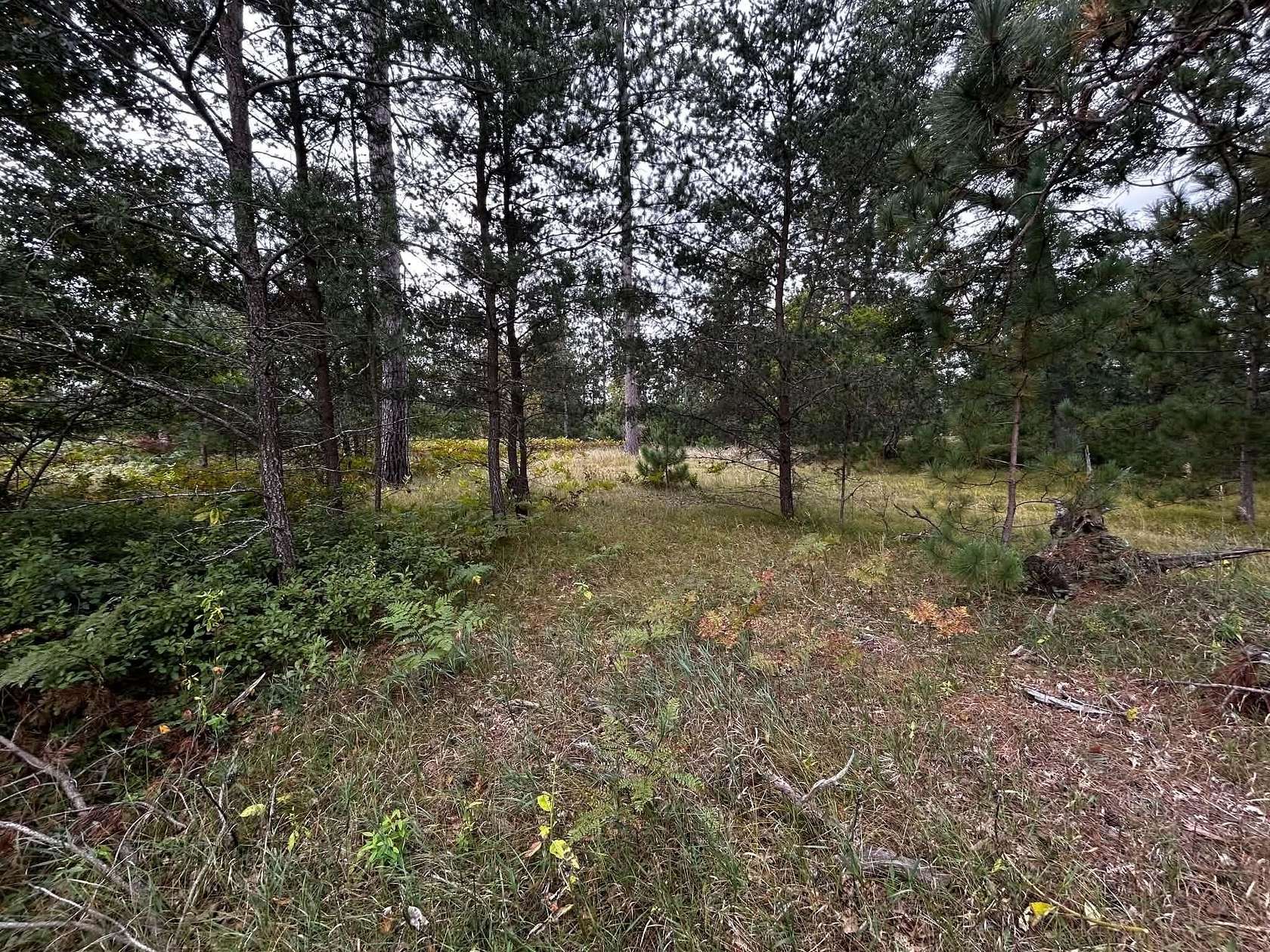Land for Sale in Rose City, Michigan