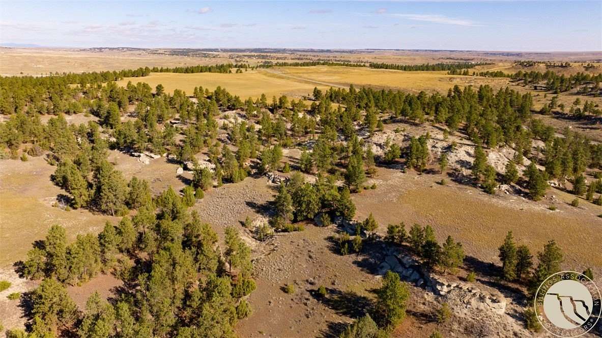 154 Acres of Land for Sale in Roundup, Montana