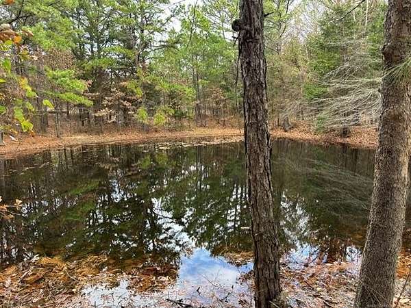 20.2 Acres of Recreational & Residential Land for Sale in Farris, Oklahoma