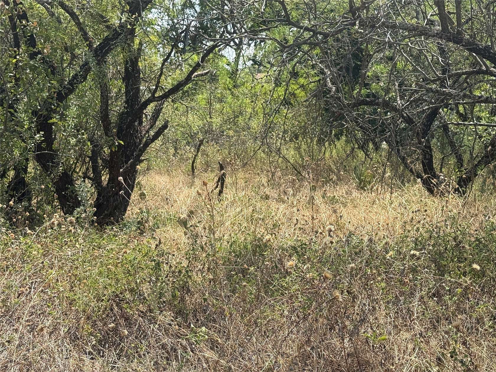 0.11 Acres of Residential Land for Sale in Brownwood, Texas