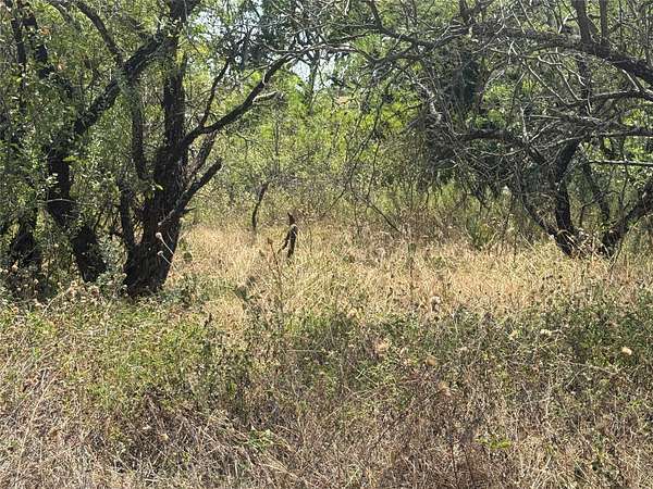 0.11 Acres of Residential Land for Sale in Brownwood, Texas