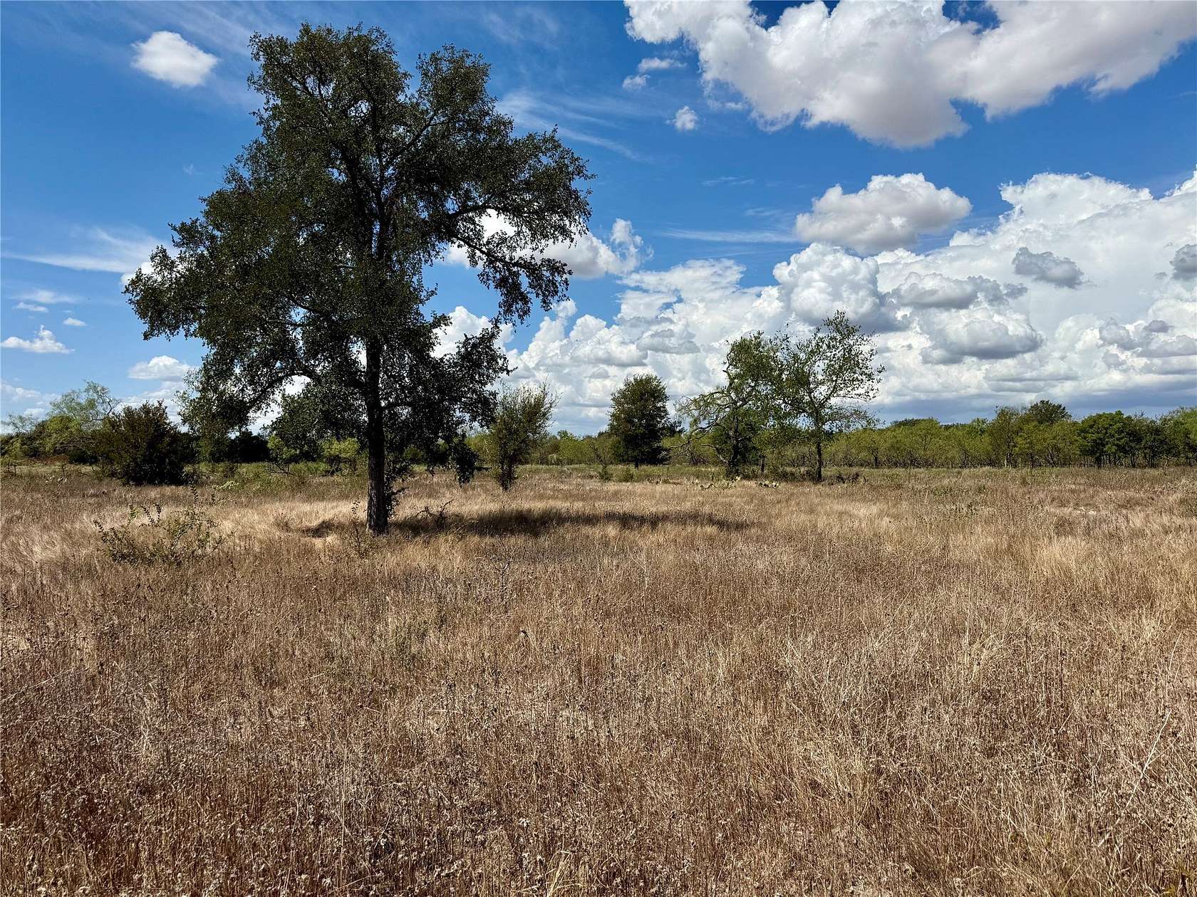 1.67 Acres of Land for Sale in Marlin, Texas