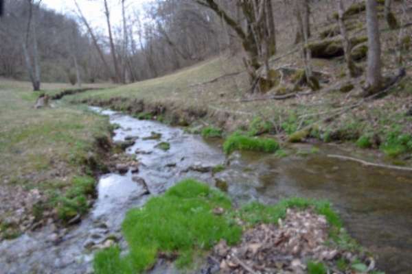 214 Acres of Land for Sale in Whitleyville, Tennessee