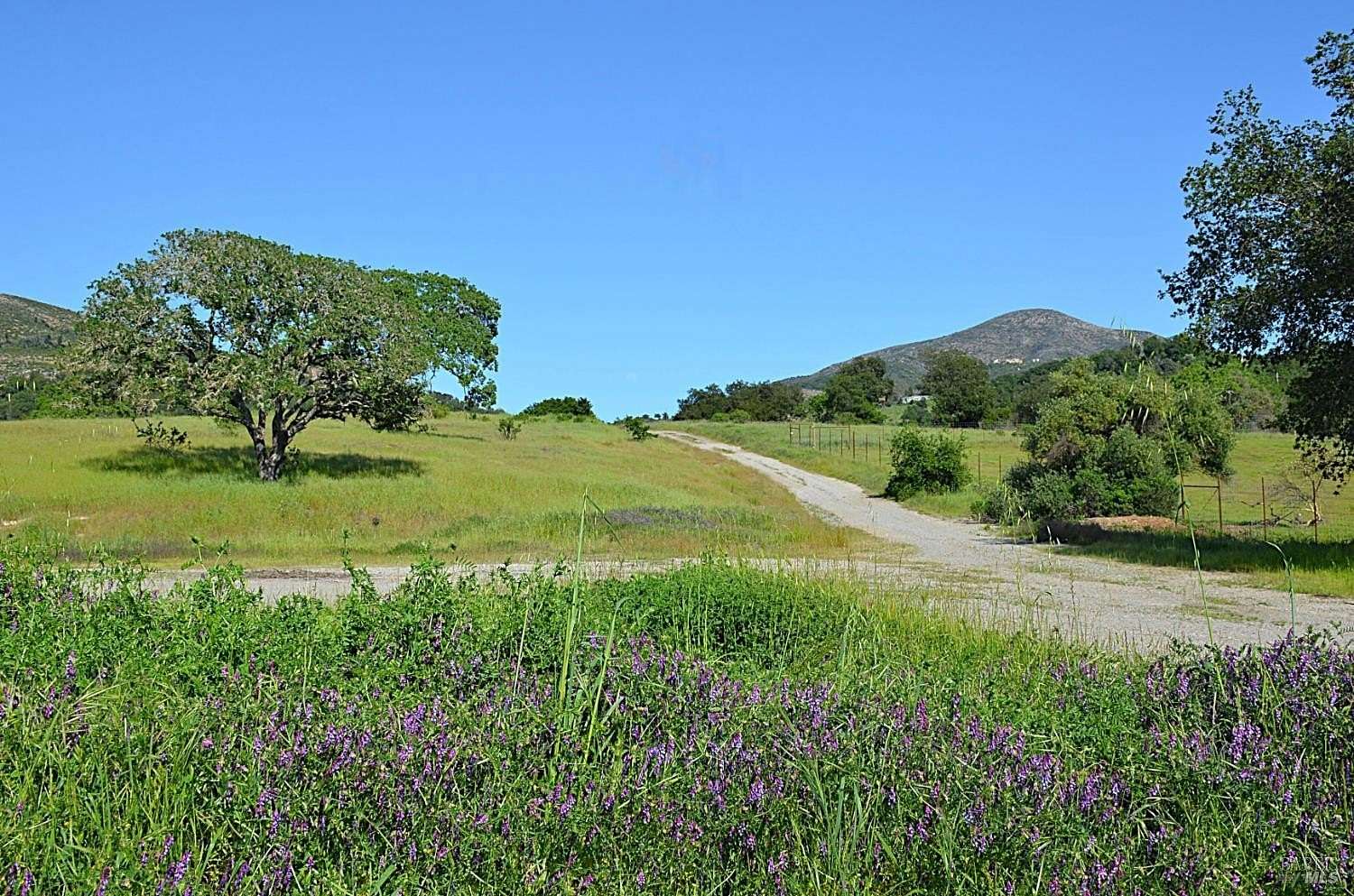 Mixed-Use Land for Sale in Napa, California