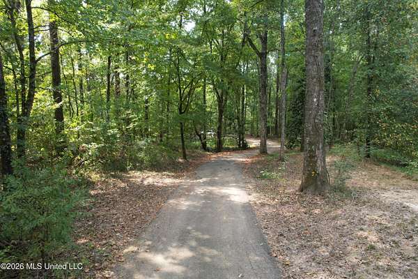 30 Acres of Recreational & Residential Land for Sale in Vicksburg, Mississippi