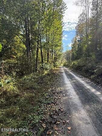 50 Acres of Land for Sale in Speedwell, Tennessee