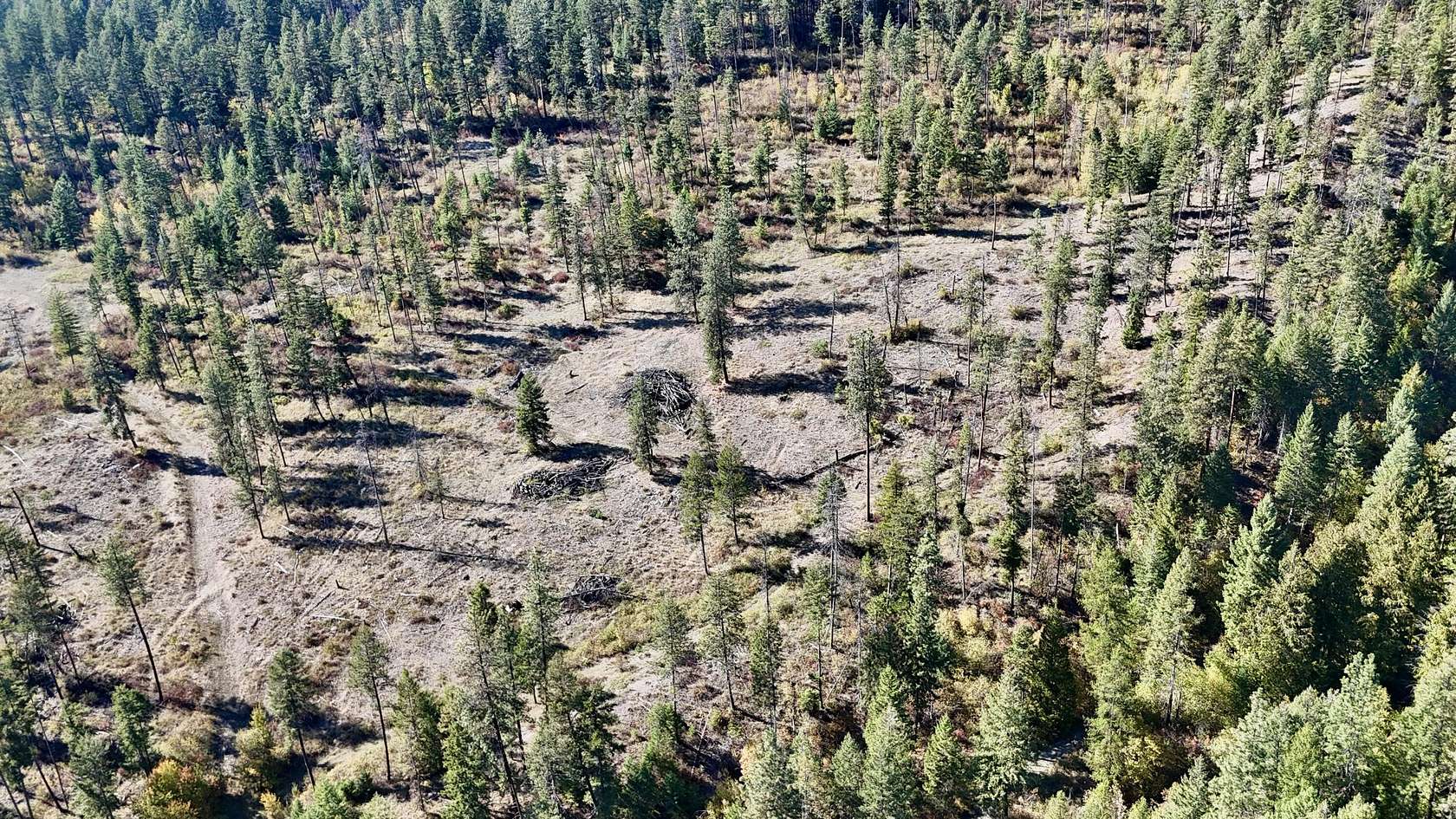 41.8 Acres of Recreational Land for Sale in Kettle Falls, Washington