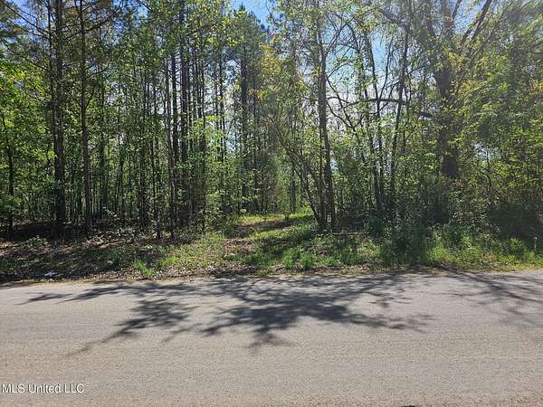 20 Acres of Recreational Land for Sale in Ripley, Mississippi
