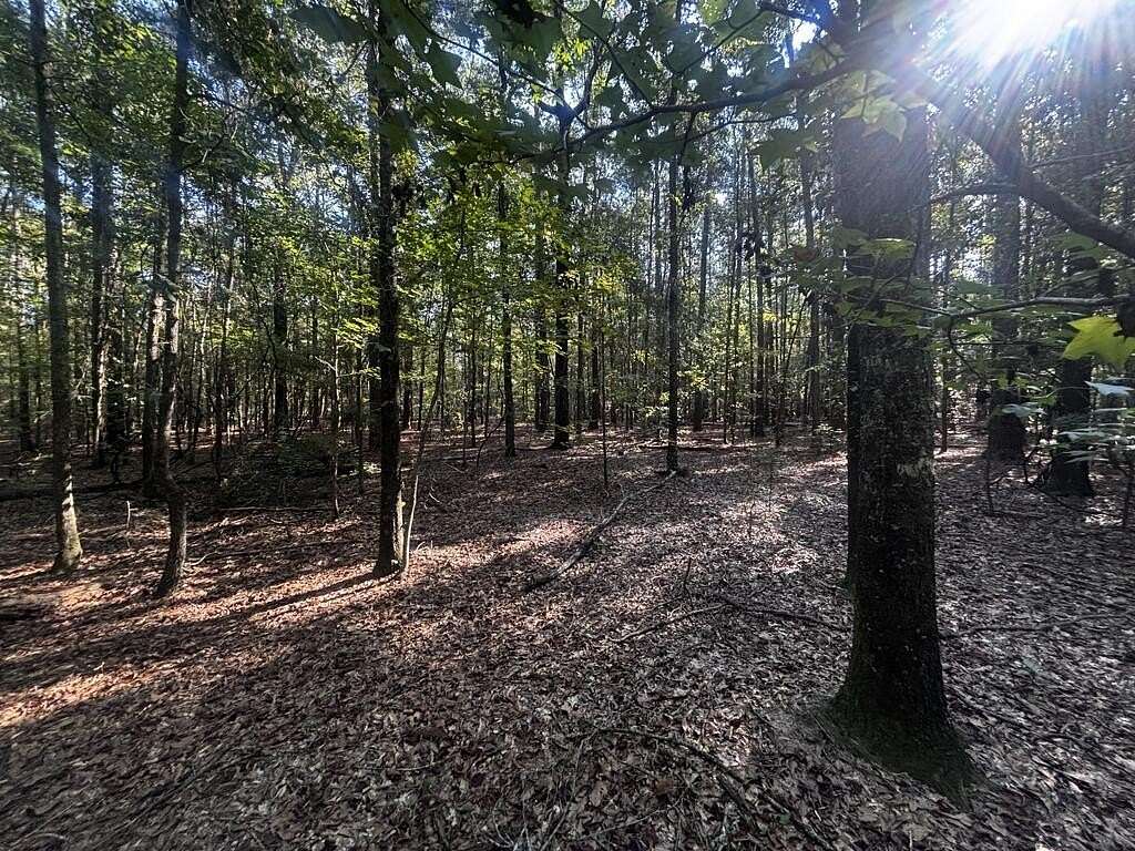 6.34 Acres of Residential Land for Sale in Fort Gaines, Georgia