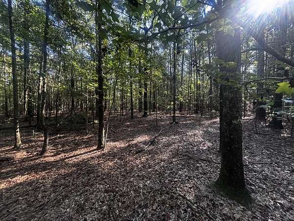 6.34 Acres of Residential Land for Sale in Fort Gaines, Georgia