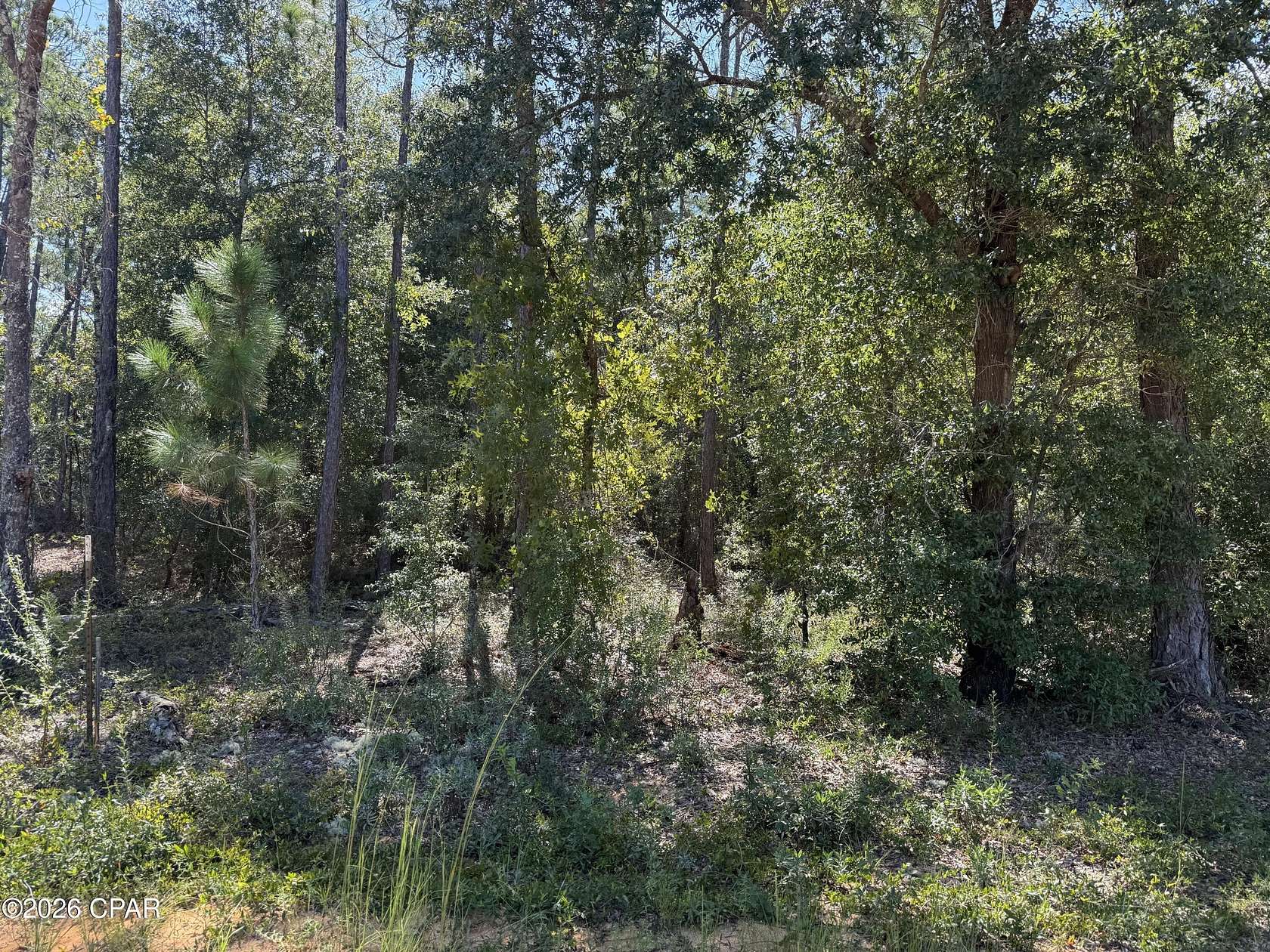 1.32 Acres of Residential Land for Sale in Alford, Florida