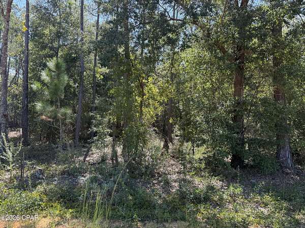 1.32 Acres of Residential Land for Sale in Alford, Florida