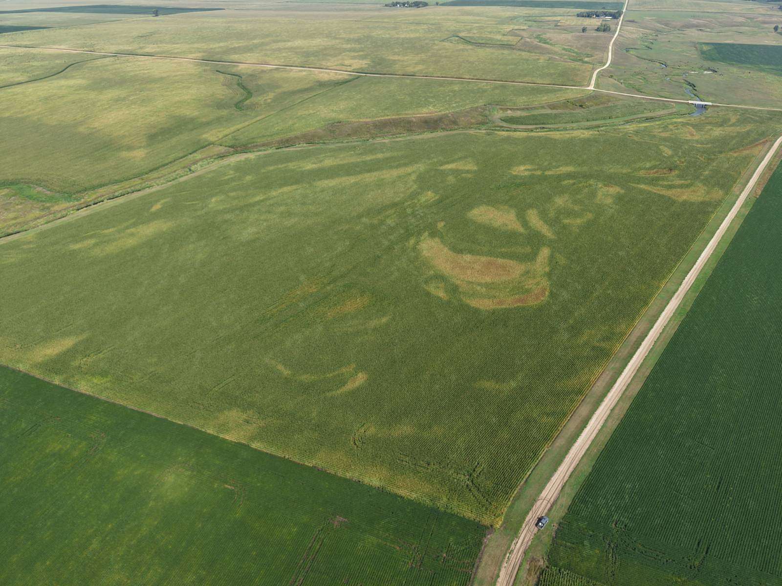 401 Acres of Land for Auction in Kenneth, Minnesota
