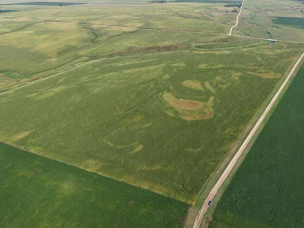 401 Acres of Land for Auction in Kenneth, Minnesota