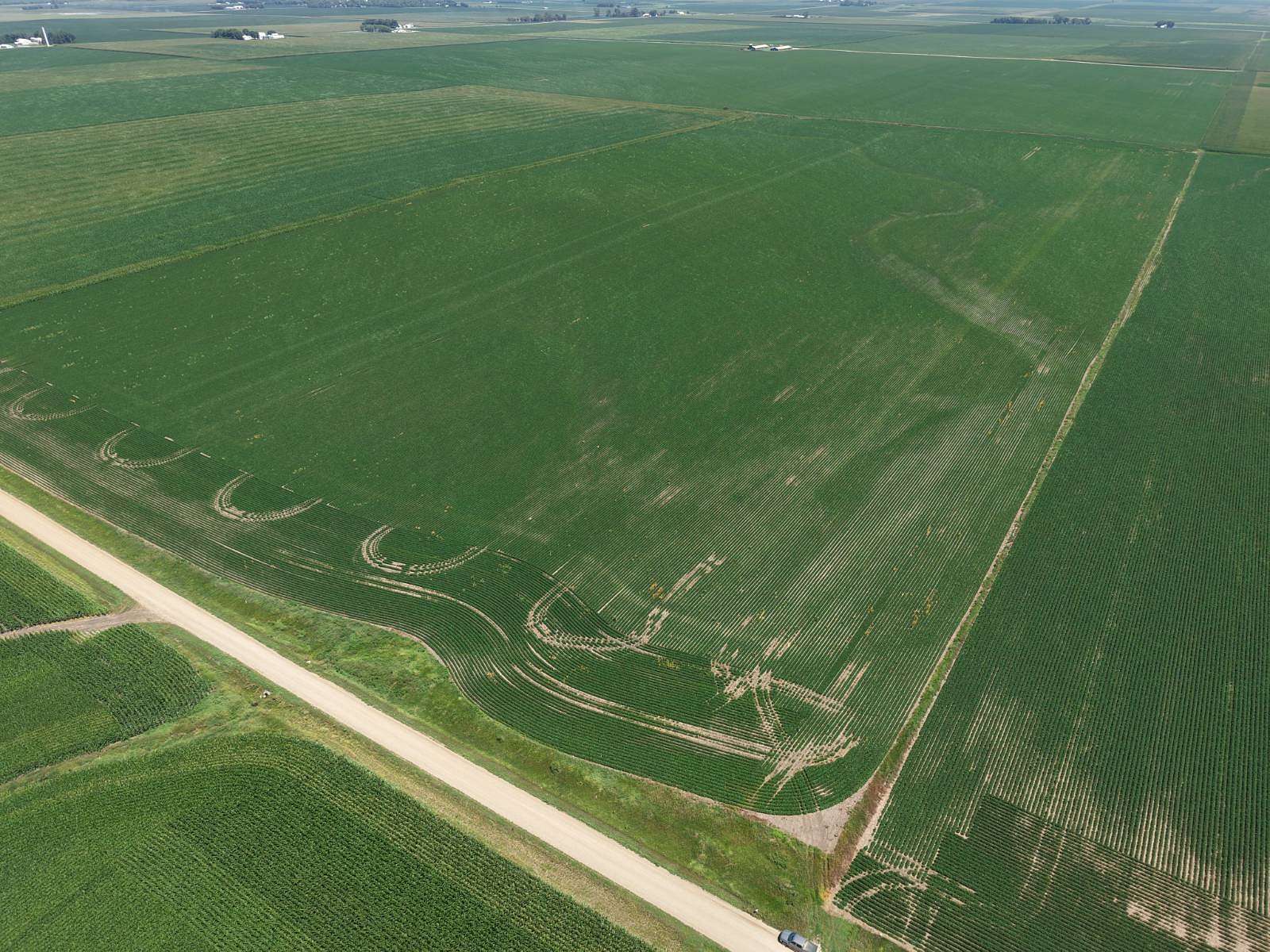 161 Acres of Agricultural Land for Auction in Little Rock, Iowa