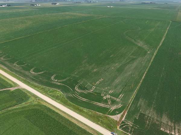 161 Acres of Agricultural Land for Auction in Little Rock, Iowa