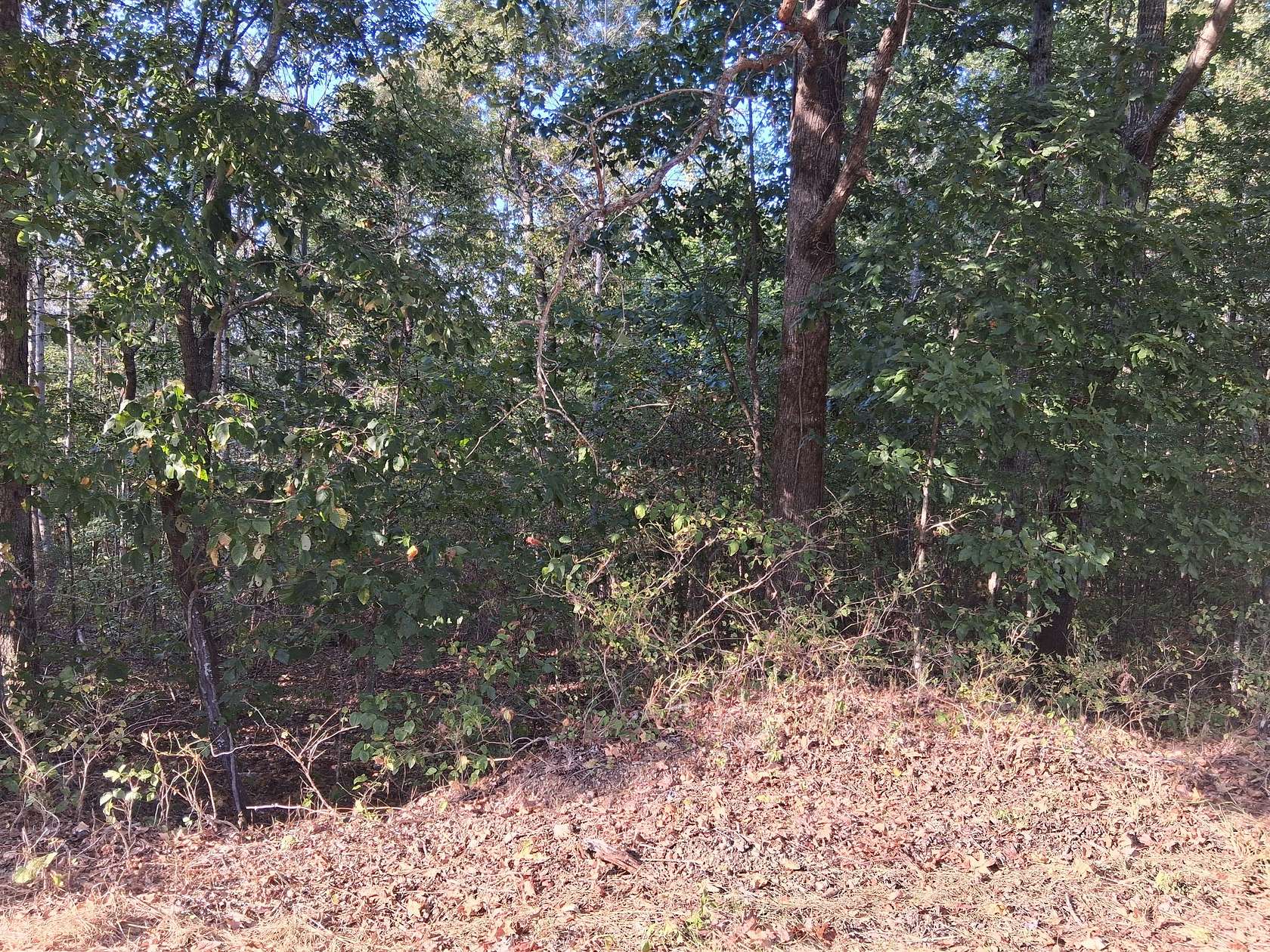 5 Acres of Residential Land for Sale in Waverly, Tennessee